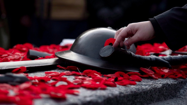 Poppies a Remembrance Day symbol for 100 years