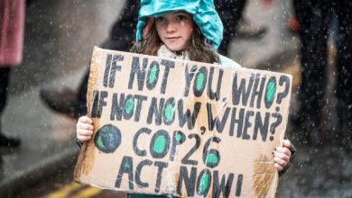 COP26: Key takeaways from week 1 of the conference