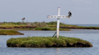 Study looks at cost of saving U.S. town from rising sea levels