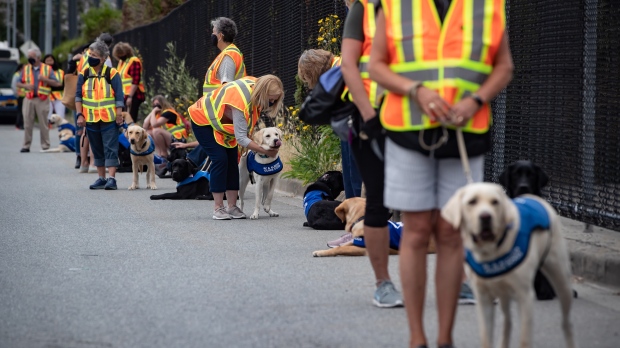 Health Canada funds PTSD service dog training program