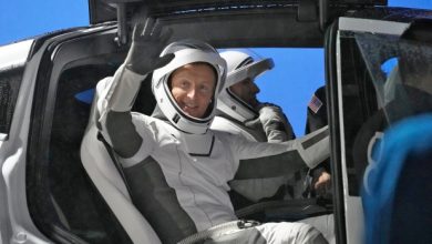 SpaceX crew launch marks 600 space travellers in 60 years