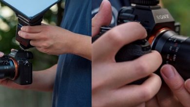 Venus Optics announces Laowa 85mm F5.6 2x Ultra Macro APO, the world's smallest 2x macro lens for FF mirrorless cameras: Digital Photography Review