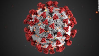 South African scientists warn a new variant of Covid-19 may show immune evasion and enhance transmissibility