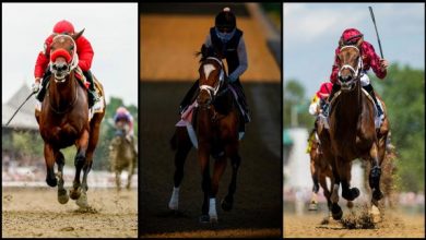 2021 Longines Breeders' Cup Distaff Quick Sheet: Get to Know the Horses