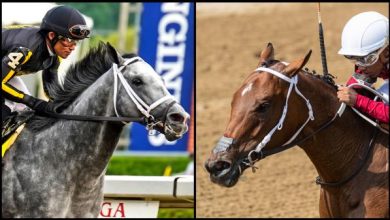 Five Favorites Worth Betting Against in the 2021 Breeders’ Cup
