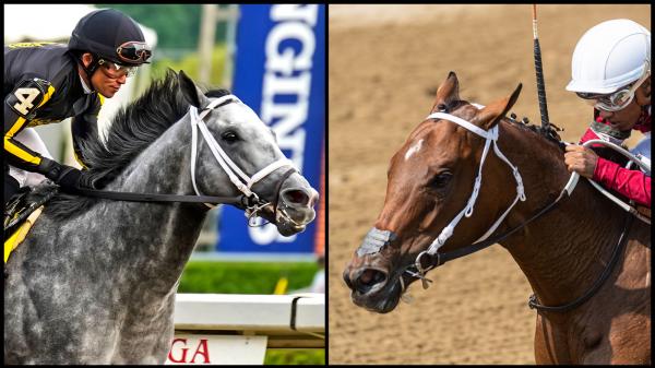 Five Favorites Worth Betting Against in the 2021 Breeders’ Cup