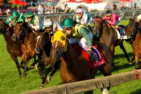 Recently Concluded Turf Season at Woodbine a Success