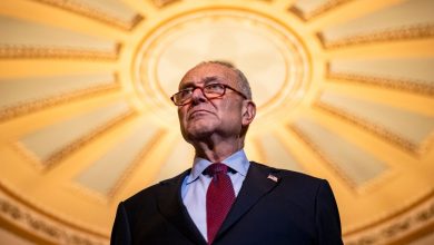 Schumer announces deal on prescription drug pricing, a key obstacle to mega-bill