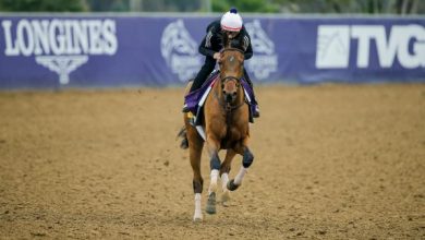 Looking at a Live Longshot to Win 2021 Breeders' Cup Distaff
