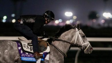 Banking on an Upset in 2021 Breeders’ Cup Juvenile
