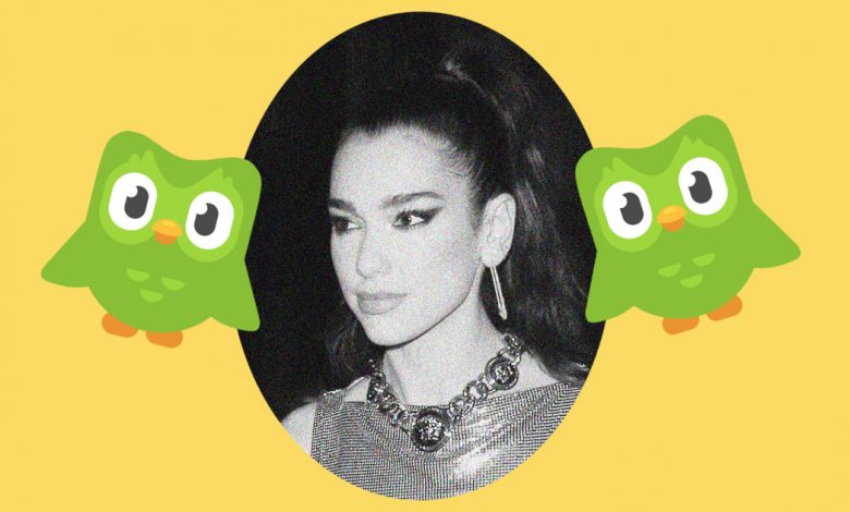 How Duo the big green owl became a TikTok star