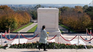 The Tomb of the Unknown Soldier: Public allowed to lay flowers at iconic memorial for the first time in nearly 100 years
