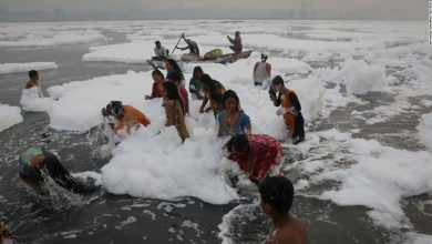 India's Yamuna River coated in toxic foam as Hindu devotees gather for Chhath Puja festival
