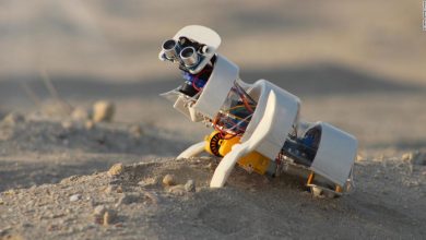 Global Grad Show 2021: A desert robot and a simple way to keep plastic out of the ocean point to a greener future