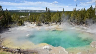 Woman sentenced to jail for walking on thermal features at Yellowstone has sentence vacated