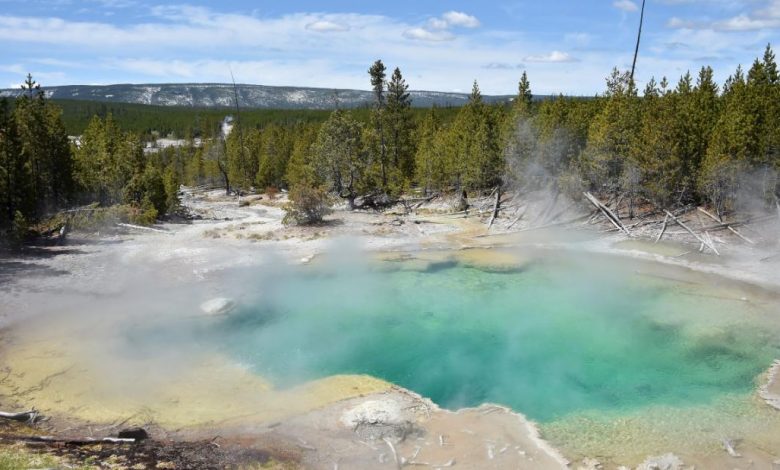 Woman sentenced to jail for walking on thermal features at Yellowstone has sentence vacated