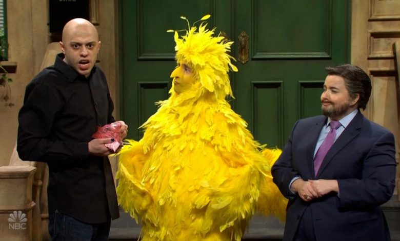 'SNL' takes kids to Ted Cruz Street with Big Bird