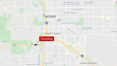 Arizona: Four people were killed in an overnight shooting at a trailer park community
