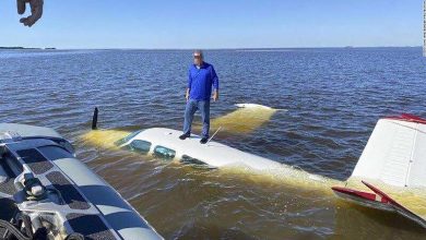 Florida: Federal agents rescue pilot found standing atop sinking plane