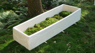 Dying to be green: Are mushroom coffins the secret to an eco-friendly death?