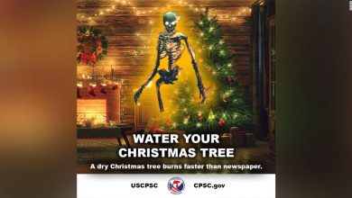 Water your or someone else's Christmas tree, alert US safety team in an alarming alert