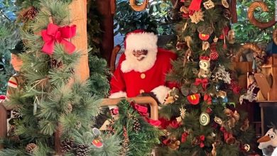 Black Santas make their first appearance at US Disney parks this season