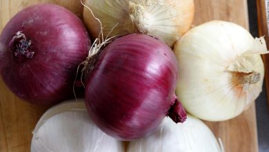 Recall Notice for Certain Onions Due to Outbreak of Salmonella