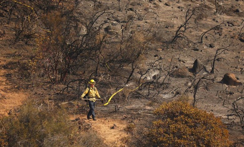 Southern California Weather: Strong winds and low humidity increase risk of wildfires and power outages over Thanksgiving holiday
