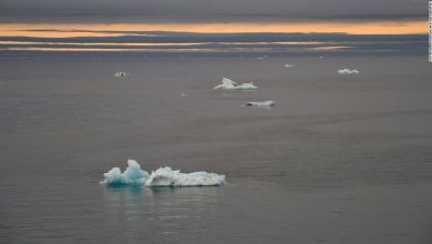 Arctic Ocean warms decades earlier than previously thought, new study suggests