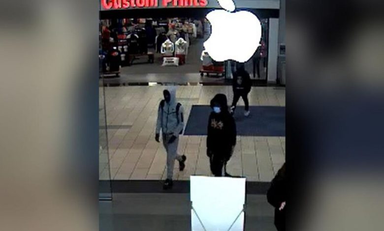 Thieves target two high-end stores in California