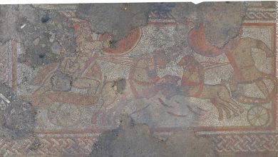 Rare Roman mosaic found on farm in 'remarkable' discovery