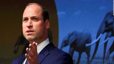 Prince William's overpopulation comments will make women unpopular