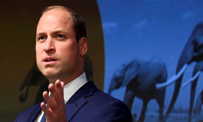 Prince William's overpopulation comments will make women unpopular