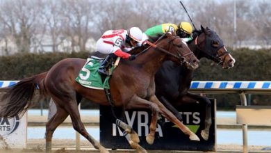NYRA Releases Aqueduct Winter Meet Stakes Schedule