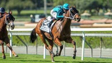 Wente Spins Affordable Mares into Breeders' Cup Gold