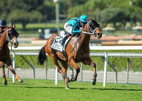 Wente Spins Affordable Mares into Breeders' Cup Gold