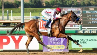 BC Juvenile Likely to Impact Championship Honors