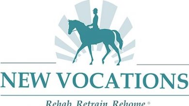 New Vocations Receives Record Number of BC Pledges