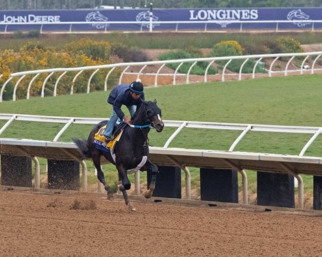 Max Player Gets Acquainted with Del Mar