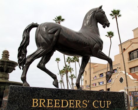 Pleasant Temperatures Expected for Breeders' Cup Friday