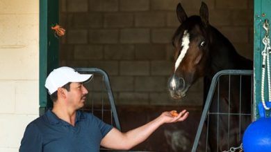ELiTE Grooms: Caring for BC Classic Contenders
