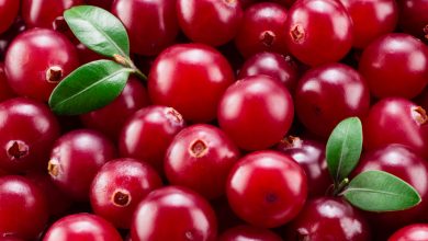 Climate change threatens cranberries - Will you be disappointed by that?