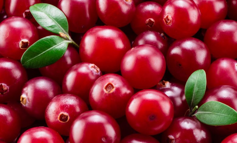 Climate change threatens cranberries - Will you be disappointed by that?