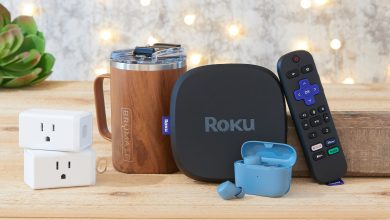 Holiday Gift Guide 2021 - Items under $100
