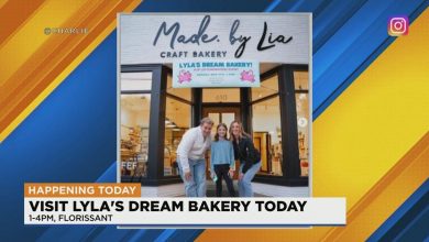 Florissant bakery helps 10-year-old girl's dreams come true | St. Louis News Headlines