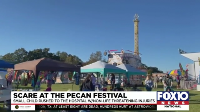 Child falls from carnival ride, leaving adults concerned about safety | Mobile County Alabama News