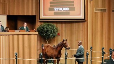 Nyquist Filly Tops Day's Weanling Ranks at $210,000