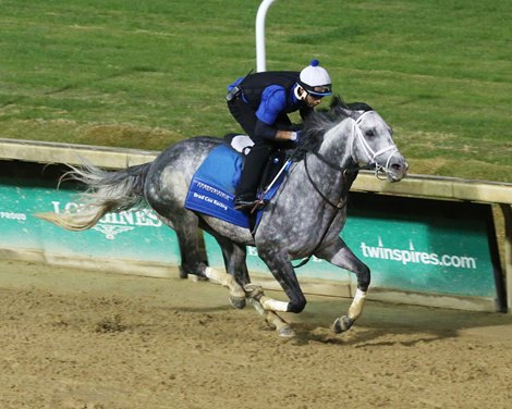 Horse of the Year Contenders Top NTRA Poll