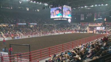 Canadian Finals Rodeo brings action; economic boost back to Red Deer