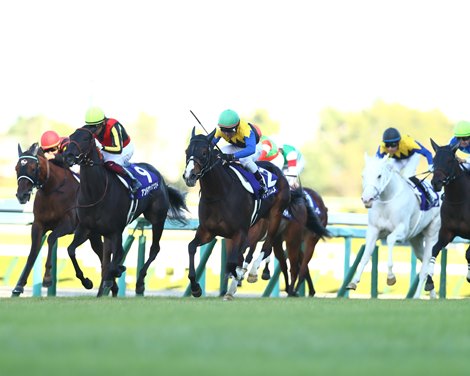 Akaitorino Musume seeks stardom in QE II Cup